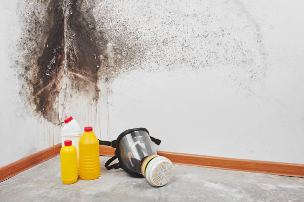 Water Damage Restoration in Bass Lake, IN