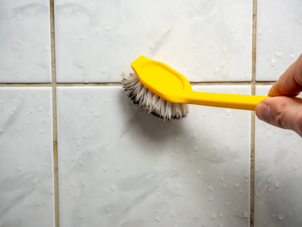 Best Mold Removal Specialists  in Bass Lake, IN