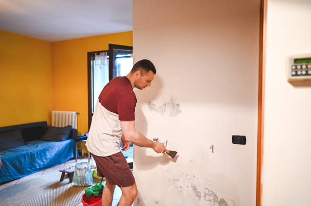 Trusted Bass Lake, IN Mold Removal Experts